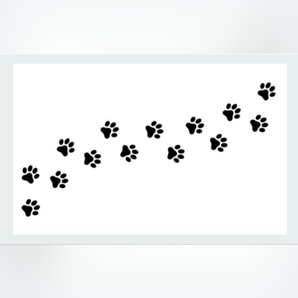 CUSTOMIZE  ME! Dog Paw Print Business Thank you Cards  50 Count